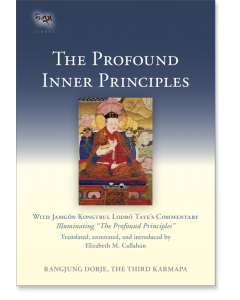 The Profound Inner Principles
