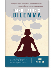 The Meditator’s Dilemma