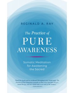 The Practice of Pure Awareness