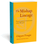 How to Build a Caravan of Joy: a review of The Mishap Lineage