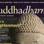 Shambhala Sun Launches Buddhadharma: the Practitioner's Quarterly