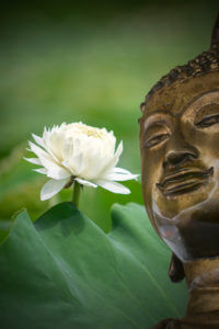 Lotus Buddha Oṃ maṇi padme hūṃ