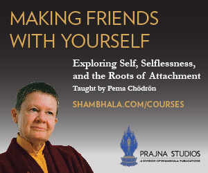 Making Friends with Yourself course