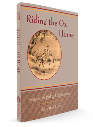 Riding the Ox Home
