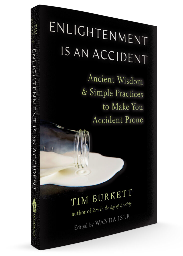 enlightenment is an accident cover