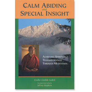 Calm Abiding and Special Insight
