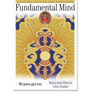 Fundamental Mind