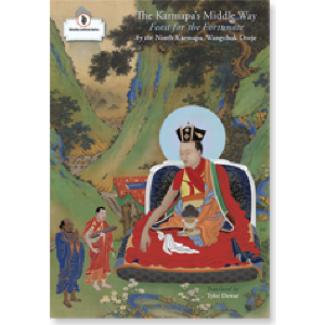 The Karmapa's Middle Way