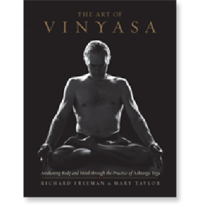 The Art of Vinyasa
