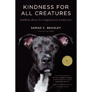 Kindness for All Creatures
