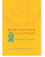 Meditation in Action
