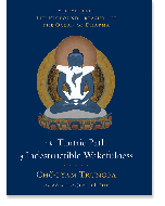 The Tantric Path of Indestructible Wakefulness (volume 3)
