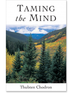 Taming the Mind