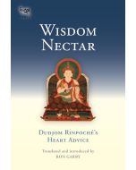 Wisdom Nectar cover