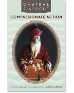 Compassionate Action