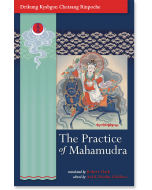 The Practice of Mahamudra