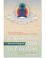 A Spacious Path to Freedom