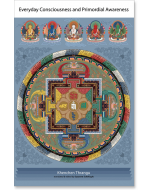 Everyday Consciousness and Primordial Awareness