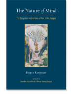 The Nature of Mind