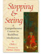 Stopping and Seeing