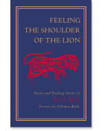 Feeling the Shoulder of the Lion