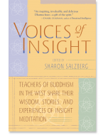 Voices of Insight