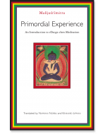 Primordial Experience