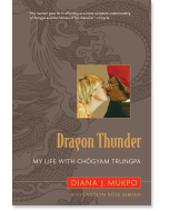 Dragon Thunder