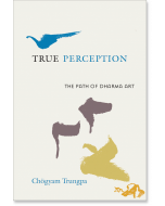 True Perception