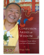 Confusion Arises as Wisdom