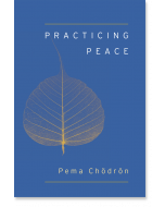 Practicing Peace