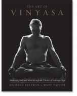The Art of Vinyasa