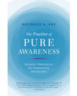 The Practice of Pure Awareness