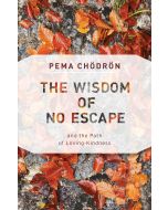 The Wisdom of No Escape