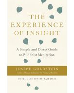 The Experience of Insight