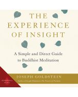 The Experience of Insight