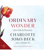 Ordinary Wonder
