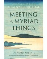 Book cover for Meeting the Myriad Things