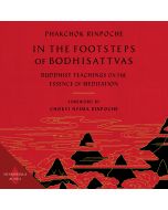 In the Footsteps of Bodhisattvas