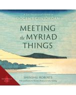 Meeting the Myriad Things