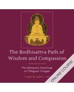 The Bodhisattva Path of Wisdom and Compassion