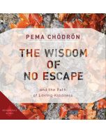 The Wisdom of No Escape
