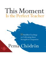 This Moment Is the Perfect Teacher