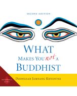 What Makes You Not a Buddhist