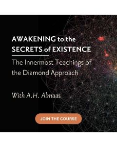 Awakening to the Secrets of Existence