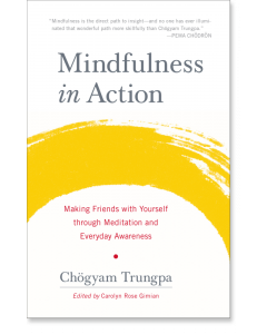 Mindfulness in Action