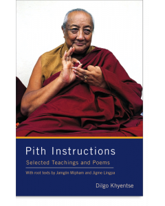 Pith Instructions