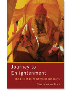 Journey to Enlightenment