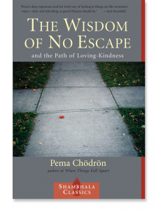 The Wisdom of No Escape