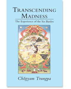 Transcending Madness